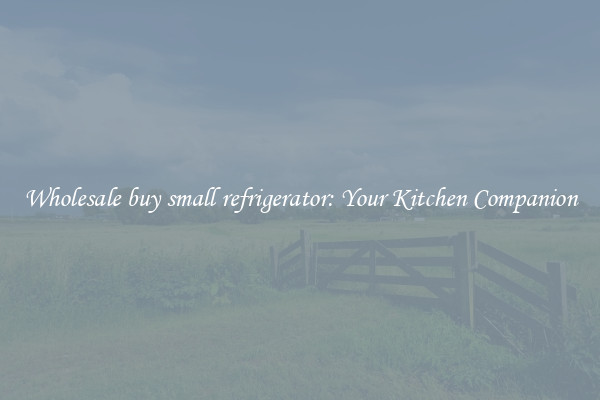 Wholesale buy small refrigerator: Your Kitchen Companion