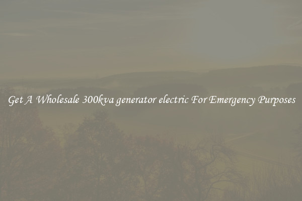 Get A Wholesale 300kva generator electric For Emergency Purposes
