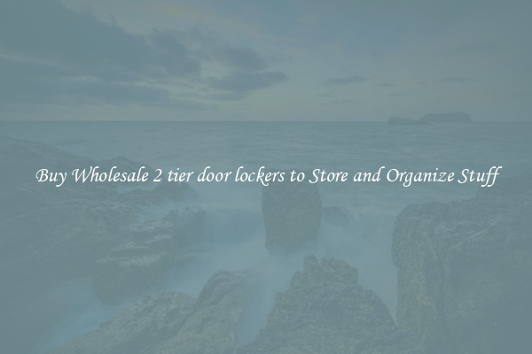 Buy Wholesale 2 tier door lockers to Store and Organize Stuff