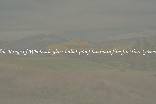 A Wide Range of Wholesale glass bullet proof laminate film for Your Greenhouse