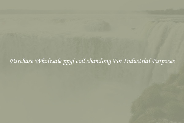 Purchase Wholesale ppgi coil shandong For Industrial Purposes