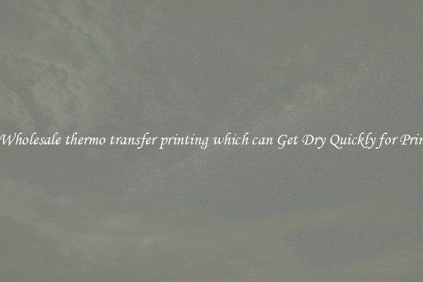 The Wholesale thermo transfer printing which can Get Dry Quickly for Printing