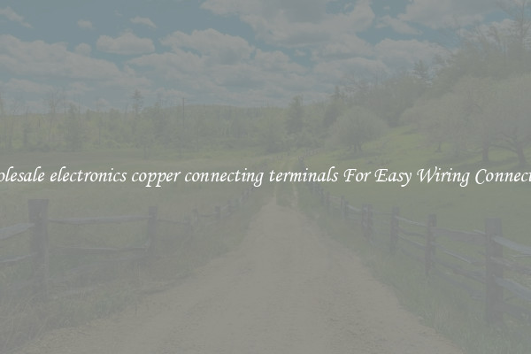 Wholesale electronics copper connecting terminals For Easy Wiring Connections