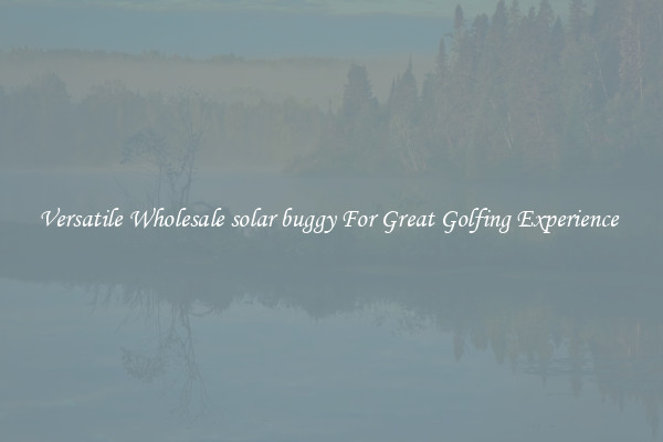 Versatile Wholesale solar buggy For Great Golfing Experience 