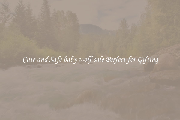 Cute and Safe baby wolf sale Perfect for Gifting