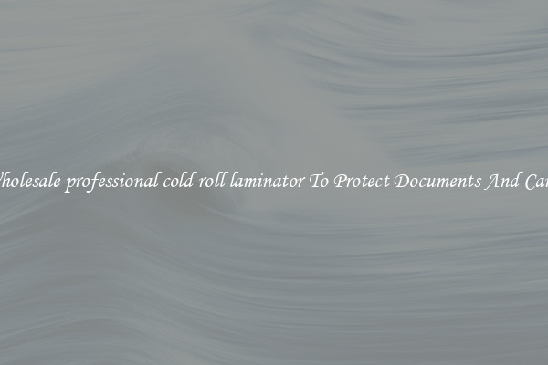 Wholesale professional cold roll laminator To Protect Documents And Cards