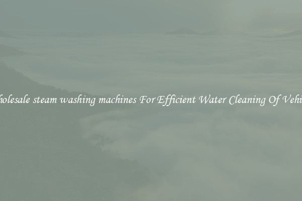 Wholesale steam washing machines For Efficient Water Cleaning Of Vehicles