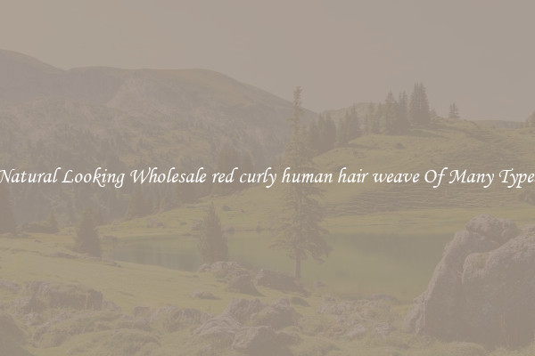 Natural Looking Wholesale red curly human hair weave Of Many Types