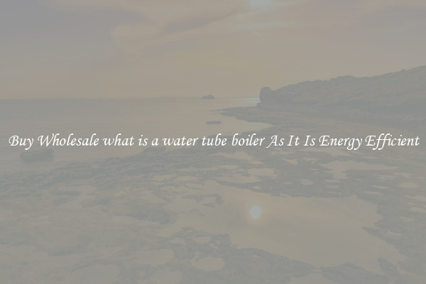 Buy Wholesale what is a water tube boiler As It Is Energy Efficient
