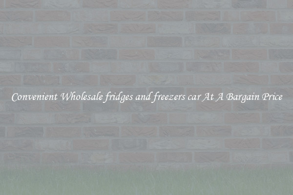 Convenient Wholesale fridges and freezers car At A Bargain Price