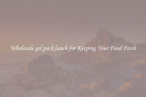 Wholesale gel pack lunch for Keeping Your Food Fresh
