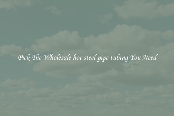 Pick The Wholesale hot steel pipe tubing You Need