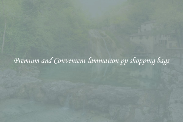 Premium and Convenient lamination pp shopping bags