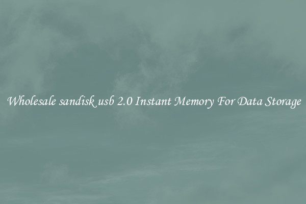 Wholesale sandisk usb 2.0 Instant Memory For Data Storage