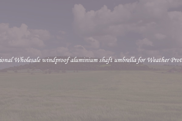 Functional Wholesale windproof aluminium shaft umbrella for Weather Protection 