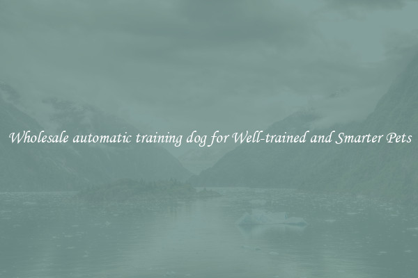 Wholesale automatic training dog for Well-trained and Smarter Pets