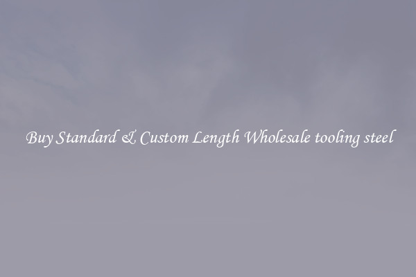 Buy Standard & Custom Length Wholesale tooling steel