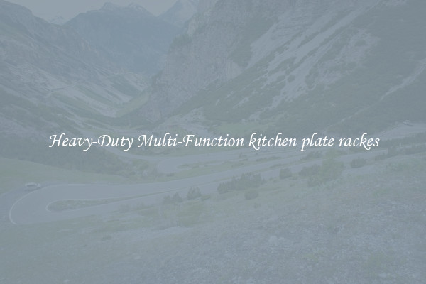 Heavy-Duty Multi-Function kitchen plate rackes