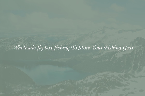Wholesale fly box fishing To Store Your Fishing Gear