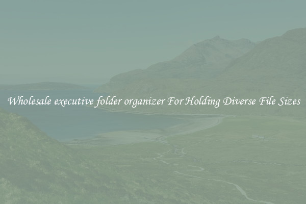 Wholesale executive folder organizer For Holding Diverse File Sizes