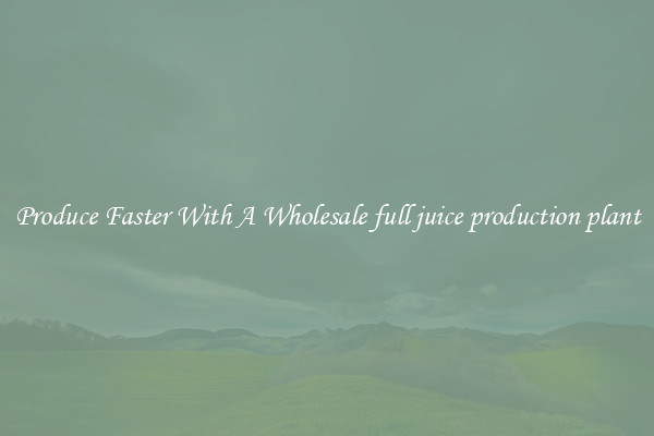 Produce Faster With A Wholesale full juice production plant