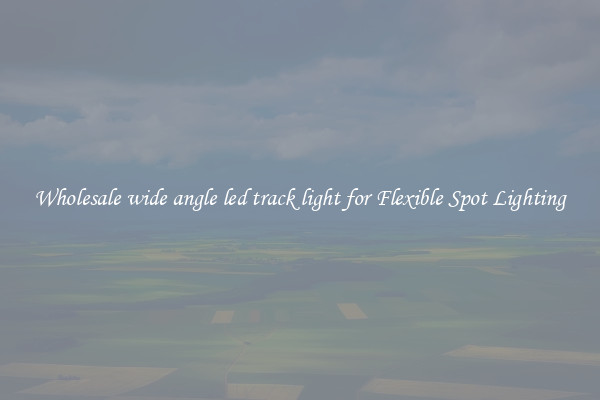 Wholesale wide angle led track light for Flexible Spot Lighting