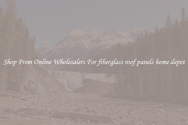 Shop From Online Wholesalers For fiberglass roof panels home depot