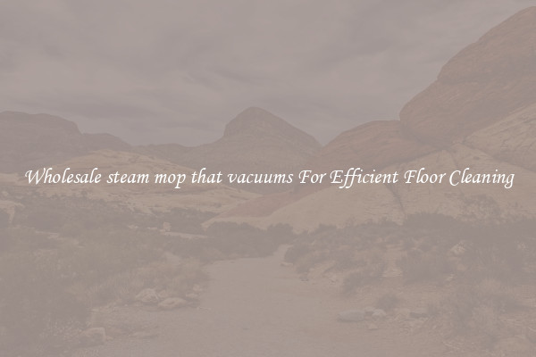 Wholesale steam mop that vacuums For Efficient Floor Cleaning